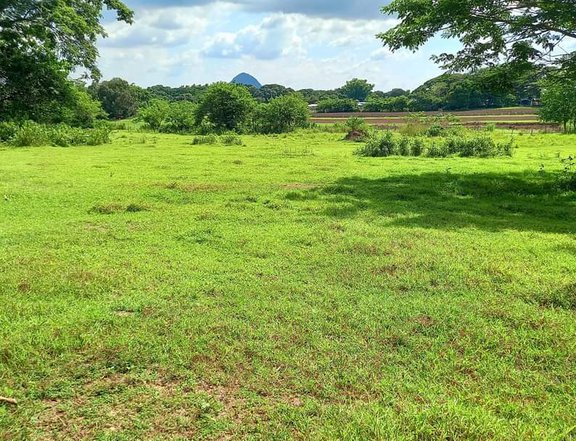 43000 sqm Agricultural Farm For Sale in Umingan Pangasinan