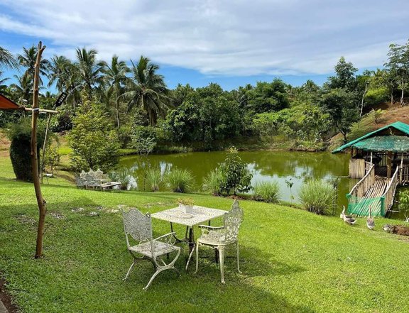 67000 sqm Residential Farm For Sale in Kalayaan Laguna