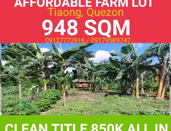 AFFORDABLE FARM LOT FOR SALE IN TIAONG QUEZON