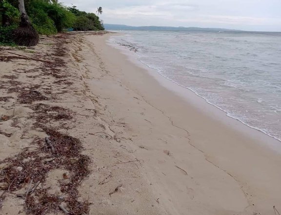 8420 sqm Beach Property For Sale in Pagudpud Ilocos Norte