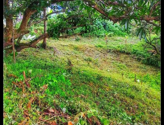 150 sqm Residential Farm For Sale in Norzagaray Bulacan