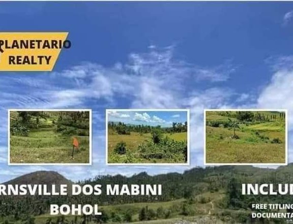 500sqm. Farm For Sale in Mabini Bohol 5,000 Reservation Fee