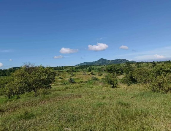 114000 sqm Agricultural Farm For Sale in Umingan Pangasinan