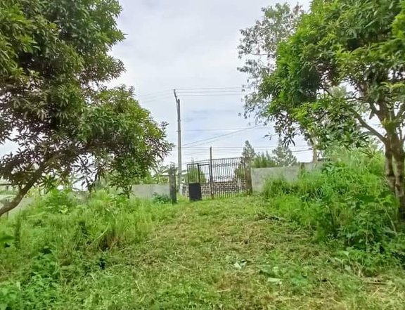 147 sqm Residential Lot for sale in Tagaytay city