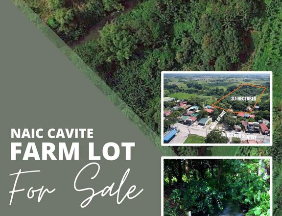 For sale 3.1 Hectare Farm Lot in Naic Cavite