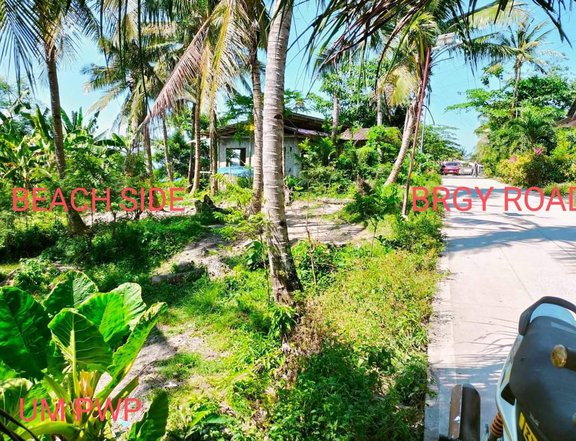 400 sqm Beach Property For Sale in Dumanjug Cebu