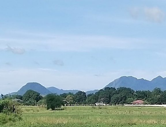 Selling Property at Lubao Pampanga Farm Lot