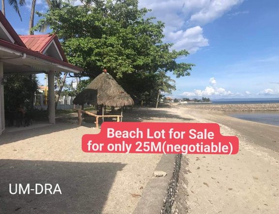 600 sqm Beach Property For Sale in Argao Cebu