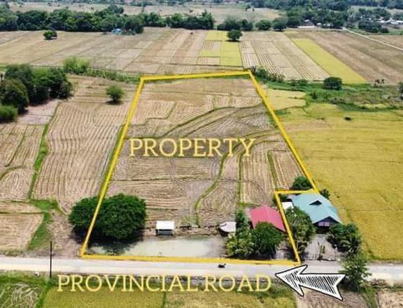 13000 sqm Residential Farm For Sale in Munoz Nueva Ecija