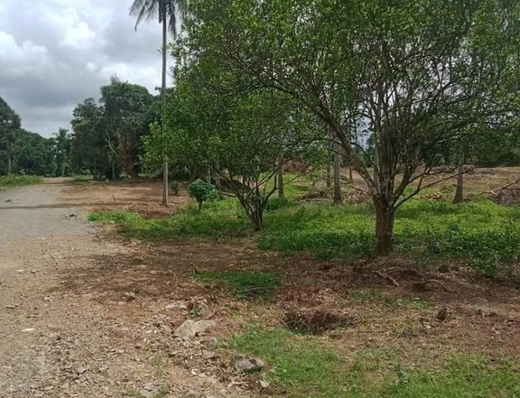 100 sqm Residential Lot For Sale