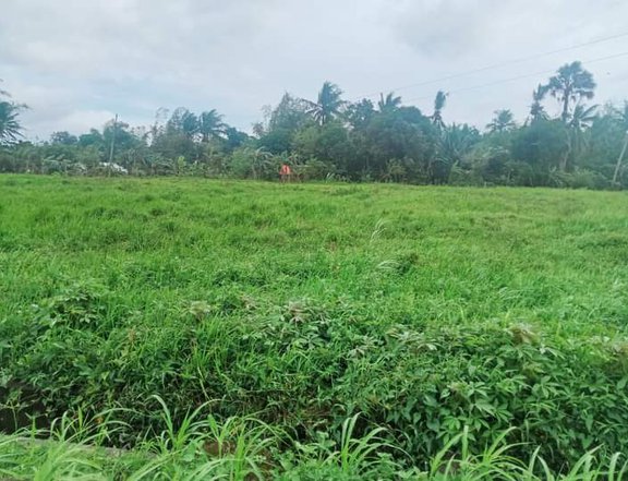 300 sqm Residential Farm For Sale in Milaor Camarines Sur