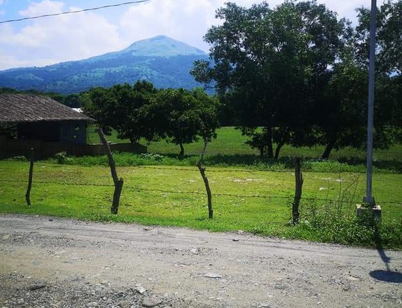 1,000 sqm Residential Lot For Sale in Botolan Zambales