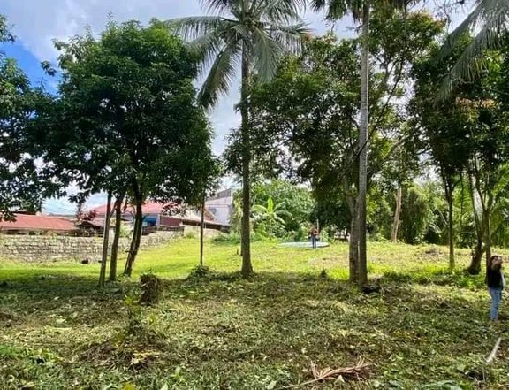 154 sqm Residential Farm For Sale in Silang Cavite