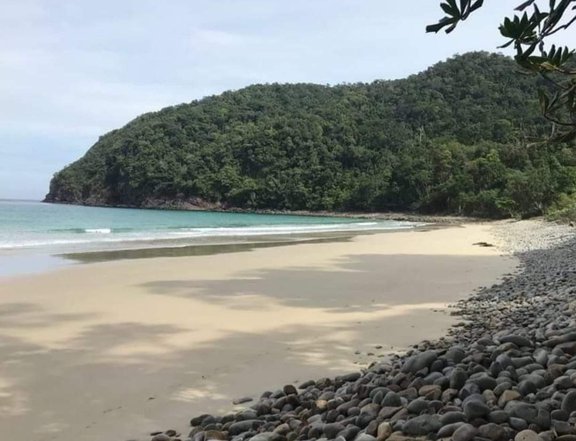 228 Hectares  Expandable to 481 Beach Property in
