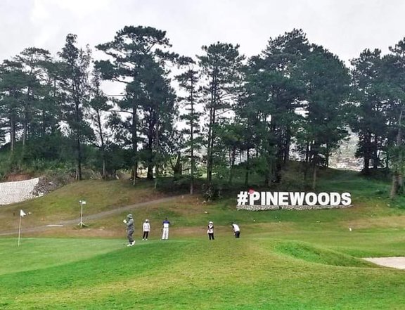 313sqm Residential Lot in Pinewoods Baguio City