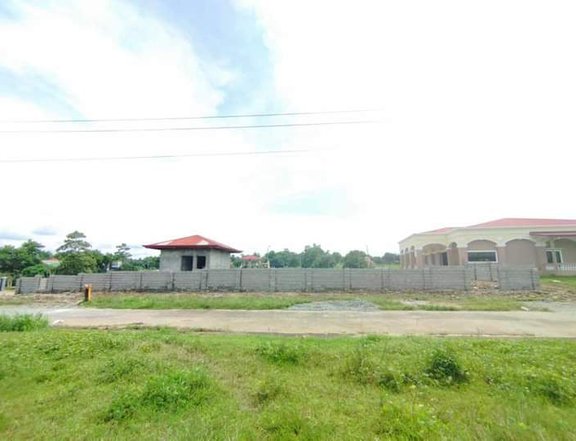 111 sqm Residential Lot For Sale in Alaminos Pangasinan