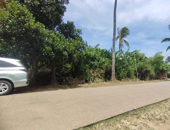 2982 sqm Commercial Lot For Sale in Panglao Bohol