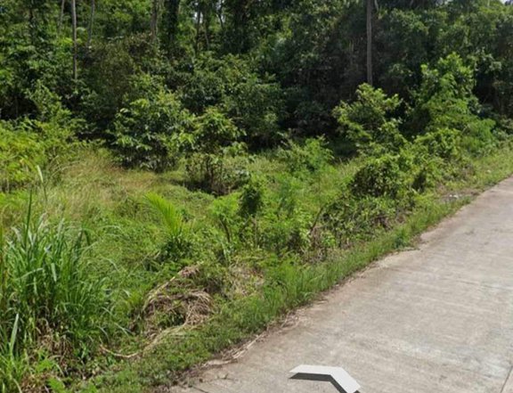 305 sqm Residential Lot For Sale in Cortes Bohol