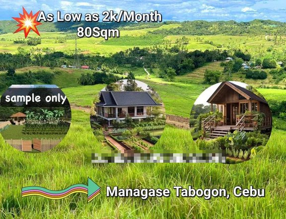 Residential Farm Lot For Sale in Tabogon Cebu