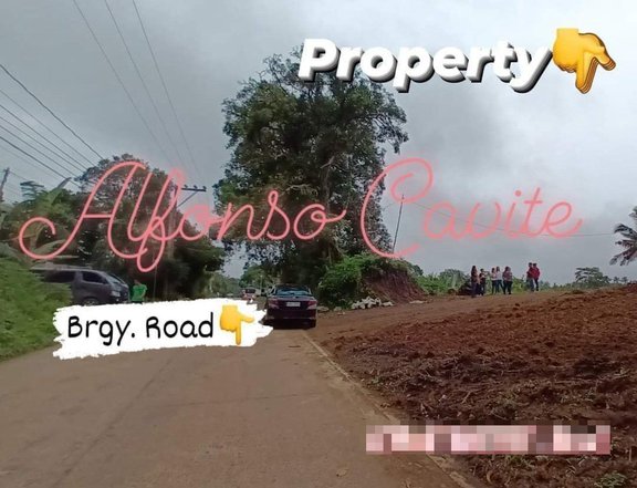 200 sqm Residential Farm For Sale in Alfonso Cavite