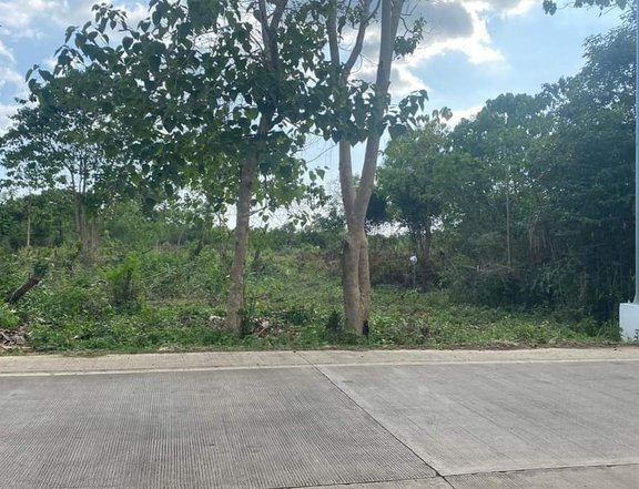 3,895 sqm Commercial Lot For Sale in Panglao Bohol