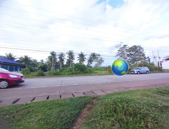 1,300 sqm Commercial Lot For Sale in Dauis Bohol