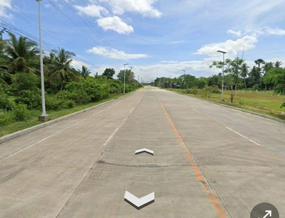 921 sqm Commercial Lot For Sale in Panglao Bohol