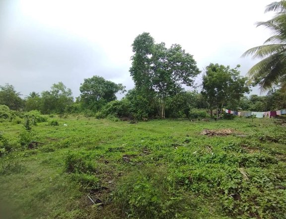 500 sqm Residential Lot For Sale in Panglao Bohol