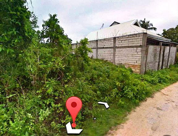 200 sqm Residential Lot For Sale in Tagbilaran Bohol
