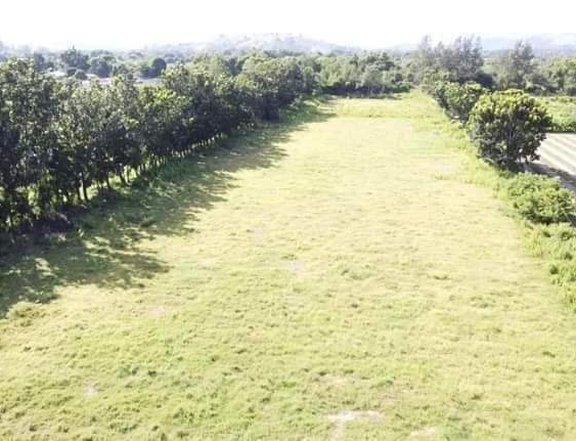 600 sqm Agricultural Farm For Sale in Castillejos Zambales