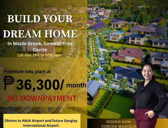 Maple Grove Park Village | Pre-selling Residential lot in Cavitein