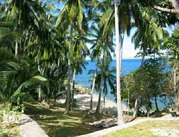 Front beach l Stunning view of nature l Negotiable price