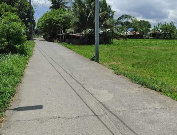 1.02 hectares Residential Farm For Sale in Tiaong Quezon