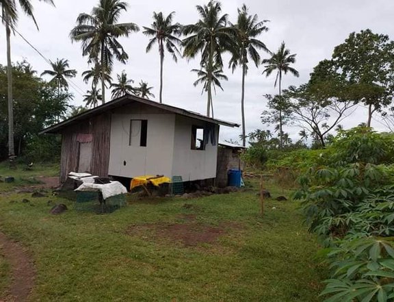 Agricultural Farm For Sale in Sariaya Quezon