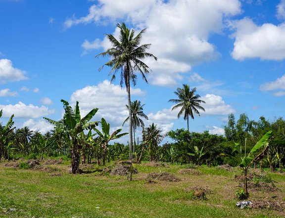 350 sqm Residential Farm For Sale in Indang Cavite