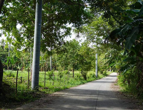 382 sqm Residential Farm For Sale in Indang Cavite
