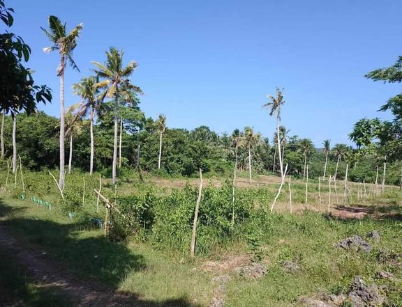 1.2 hectares lot for sale in Poro Cebu