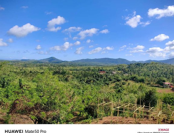 3.5hectares Agricultural Farm for Sale in Puerto Princesa Palawan