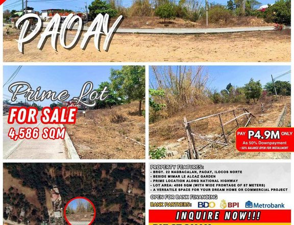 4586 sqm lot for Sale