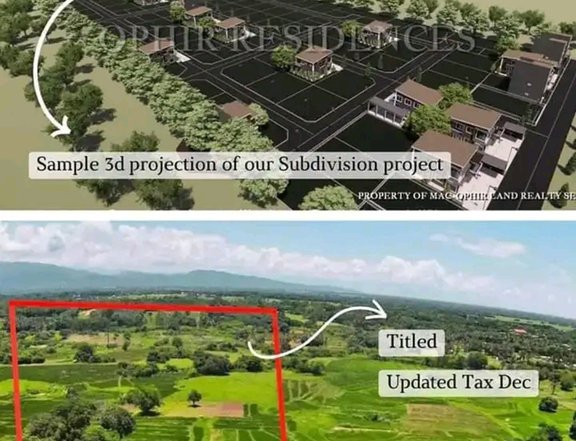 Installment Subdivided Lot For Sale in San Jacinto Pangasinan