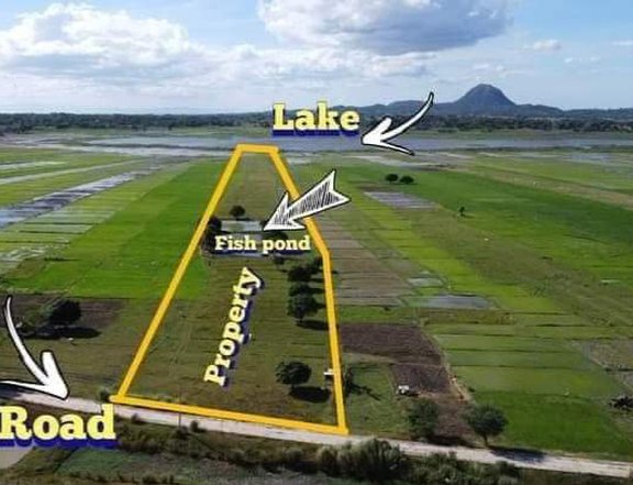 2.5 hectares Agricultural Farm For Sale in Cuyapo Nueva Ecija