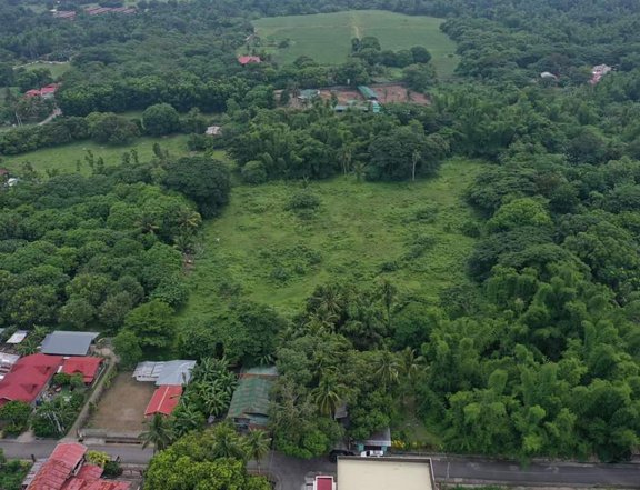 1.26 hectares Residential Farm For Sale in Taysan Batangas