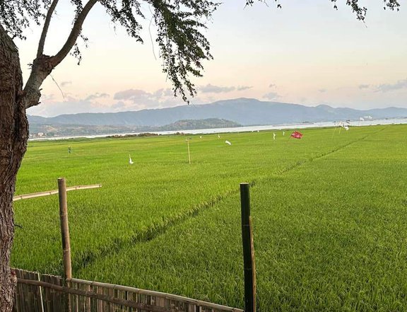40 to 90 sqm Residential Farm Lot For Sale