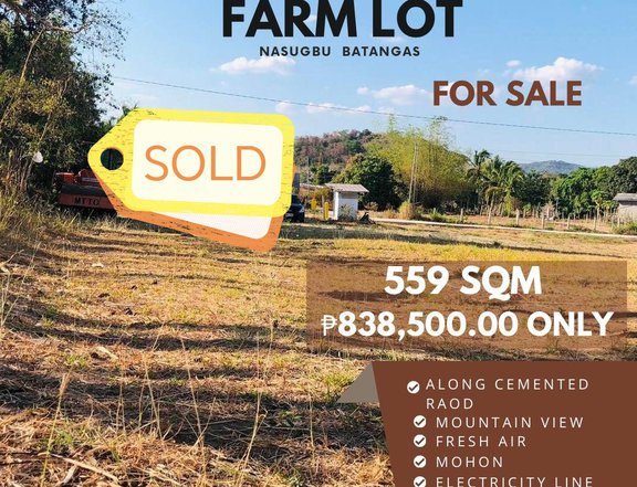 559 sqm Agricultural Farm For Sale in Nasugbu Batangas
