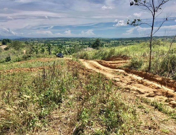 More than 80 hectares Farm Land for Sale Bayawan