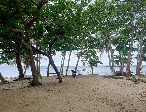 5,000 sqm Beach Property For Sale in Pagudpud Ilocos Norte