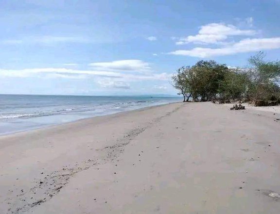 250 sqm Beach Property For Sale in Lupon Davao Oriental