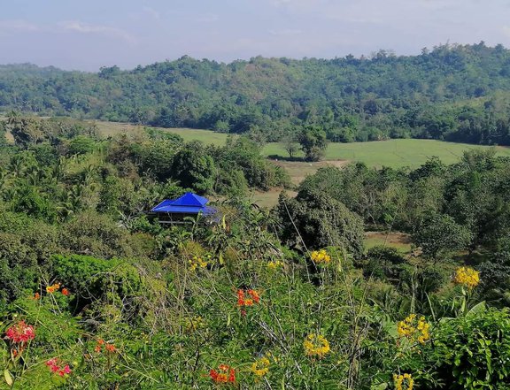 15-hectare Integrated Organic Farm Lot for Sale in Poblacion, Sablayan, Occidental Mindoro