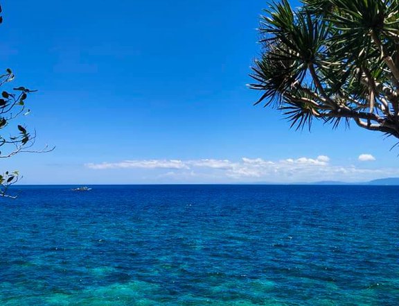 beach property for sale in Camotes Island