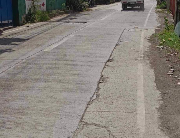 1,200 sqm Lot For Sale in Mandaue Cebu